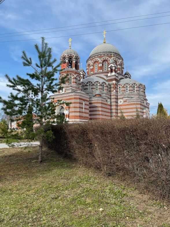 Реконструкция нашего мини-зоопарка