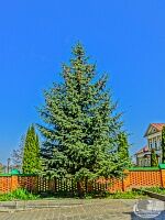 Паломническая поездка в Оптину Пустынь