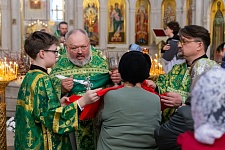 Вход Господень в Иерусалим