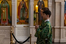 Вход Господень в Иерусалим