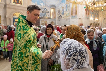 Вход Господень в Иерусалим (Вербное Воскресенье)