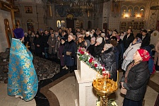 Введение во храм Пресвятой Богородицы