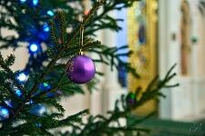 Рождество Христово-2017