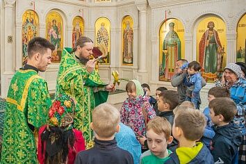 Вход Господень в Иерусалим