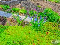 Паломническая поездка в Оптину Пустынь