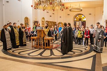 Таинство Елеосвящения на приходе Троицкого храма в Щурово города Коломны 