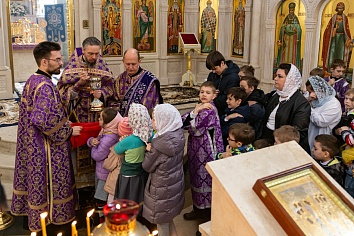 Пятая неделя Великого поста. Прп. Мария Египетская.