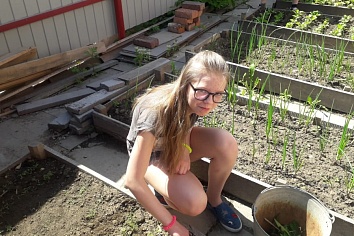 Собственный огород и теплица