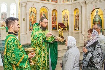 Вход Господень в Иерусалим