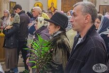 Неделя Ваий