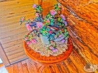 Паломническая поездка в Оптину Пустынь