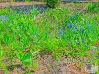 Паломническая поездка в Оптину Пустынь