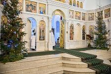 Рождество Христово-2017