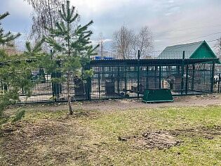 Реконструкция нашего мини-зоопарка