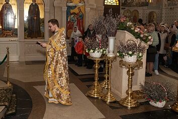 Вход Господень в Иерусалим (Вербное Воскресенье)
