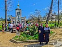 Паломническая поездка в Оптину Пустынь