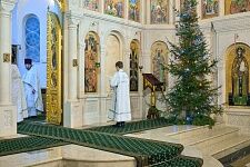 Рождество Христово-2017