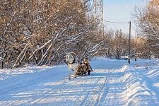 Рождественские гуляния - 2019