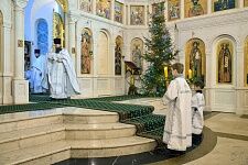 Рождество Христово-2017