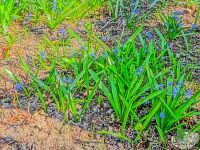 Паломническая поездка в Оптину Пустынь