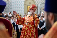 Празднование иконы Божией Матери "Живоносный Источник"