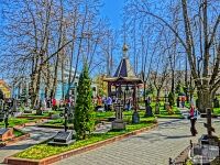 Паломническая поездка в Оптину Пустынь