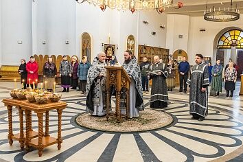 Память св. Феодора Тирона. Освящение колива в Троицком храме.