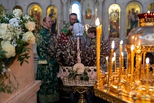 Вход Господень в Иерусалим