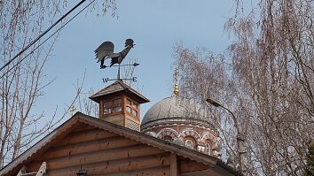 Реконструкция нашего мини-зоопарка