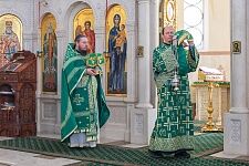 Вербное воскресенье