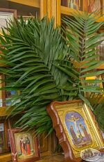 Неделя Ваий