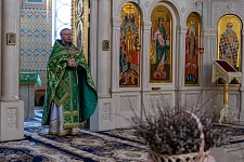 Вход Господень в Иерусалим