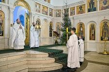 Рождество Христово-2017