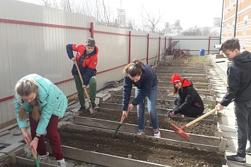 Собственный огород и теплица