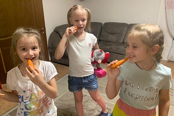 Собственный огород и теплица