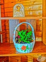 Паломническая поездка в Оптину Пустынь