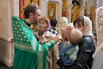 Вход Господень в Иерусалим (Вербное Воскресенье)