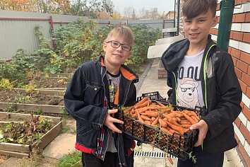 Собственный огород и теплица