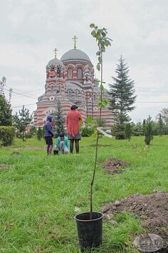 Благословенный сад