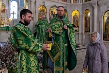 Вход Господень в Иерусалим