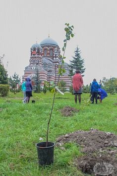 Благословенный сад