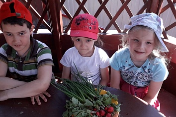 Собственный огород и теплица