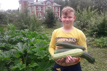 Собственный огород и теплица