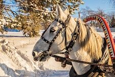 Рождественские гуляния - 2019