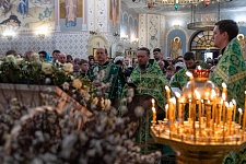 Вход Господень в Иерусалим