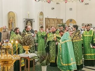 Вход Господень в Иерусалим