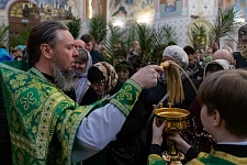 Вход Господень в Иерусалим