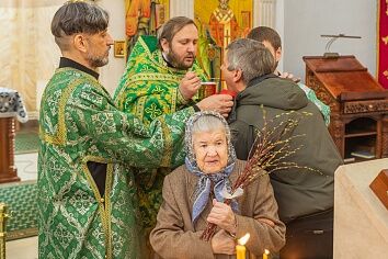 Вход Господень в Иерусалим