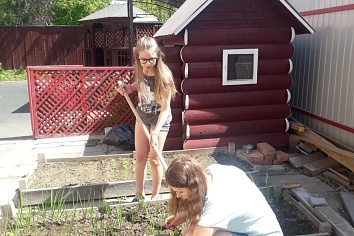 Собственный огород и теплица