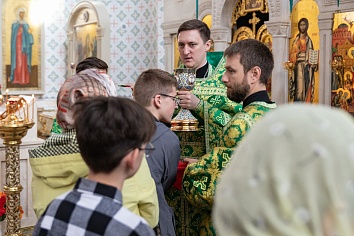 Вход Господень в Иерусалим (Вербное Воскресенье)